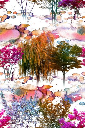 水彩印花花型图片