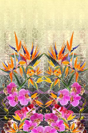 数码印花花型图片