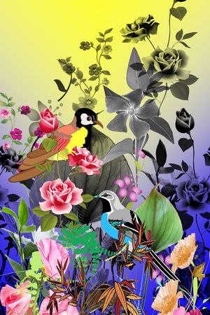 服装印花花型图片