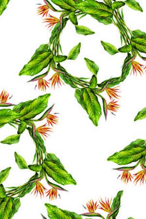 花卉  热带植物印花花型图片