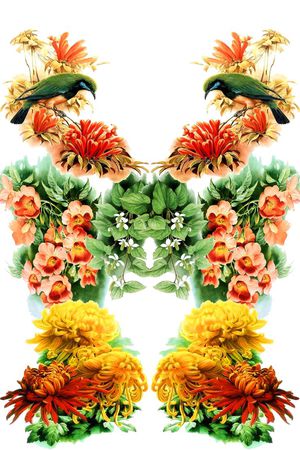花鸟印花花型图片