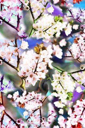 梅花印花花型图片