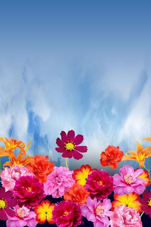 田园印花花型图片