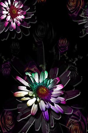 3D印花花型图片