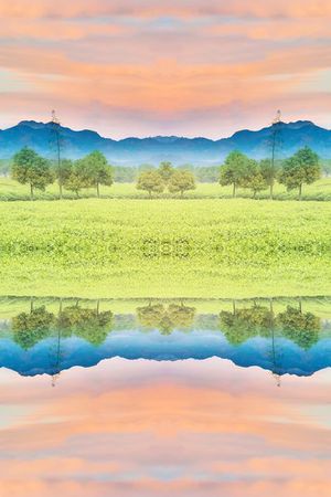 绿色印花花型图片