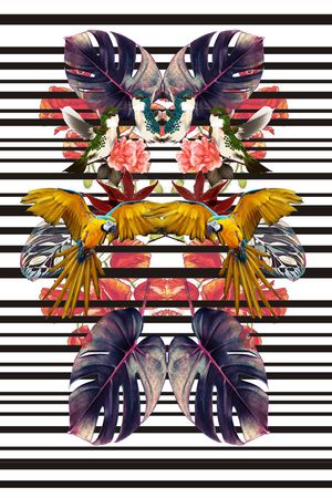 服装印花花型图片