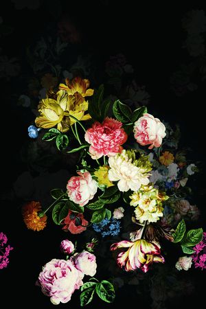 时尚印花花型图片