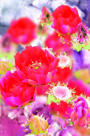 花卉印花花型图片