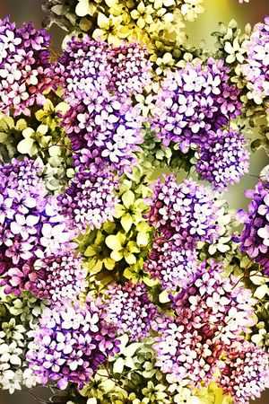 抽象印花花型图片