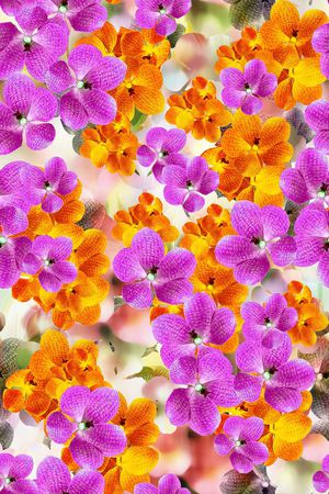 田园印花花型图片