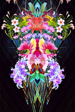 蝴蝶印花花型图片