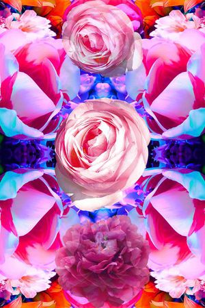 花印花花型图片