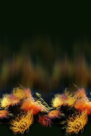 潮流印花花型图片