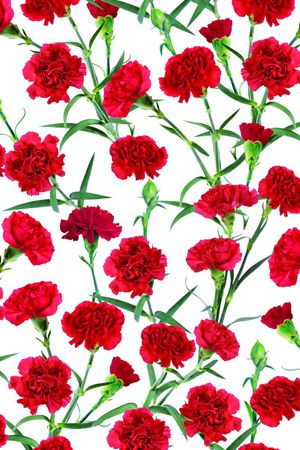 数码花卉印花花型图片