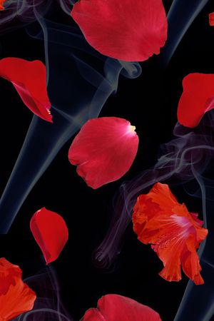 潮流印花花型图片