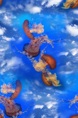 潮流印花花型图片