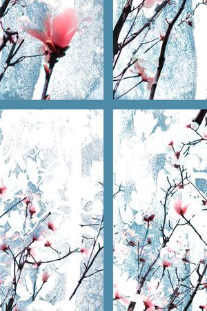 花印花花型图片