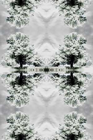古典羽绒服真丝浪漫雪树印花花型图片