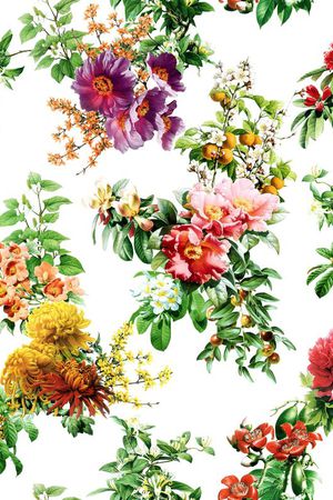茶花印花花型图片