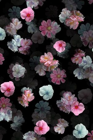 黑底碎花花卉组合印花花型图片