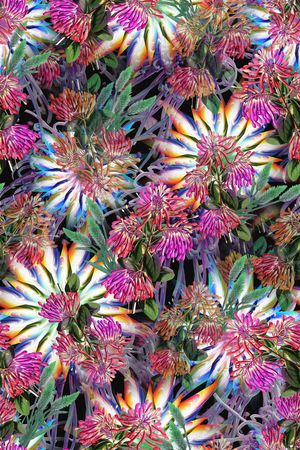 花卉印花花型图片