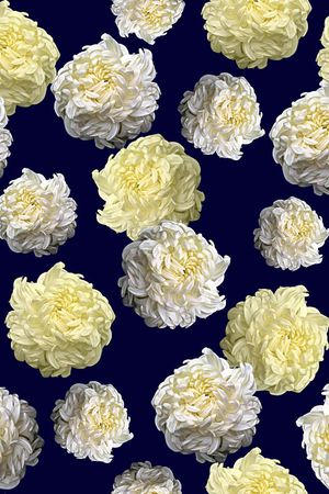 菊花印花花型图片