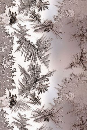 冰花印花花型图片
