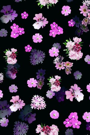花卉印花花型图片
