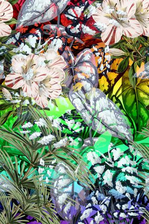 定位花卉印花花型图片