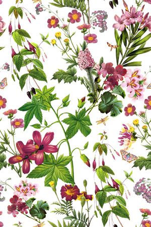 小清新印花花型图片