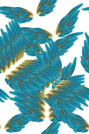 复古3D立体感空间感buautiful羽毛印花花型图片