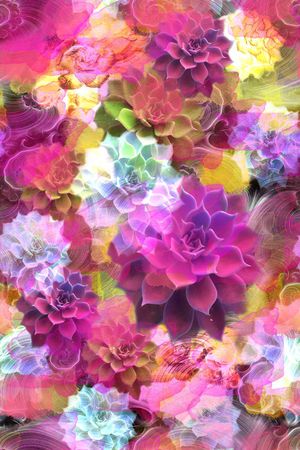 宝石花印花花型图片