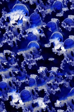 深海印花花型图片