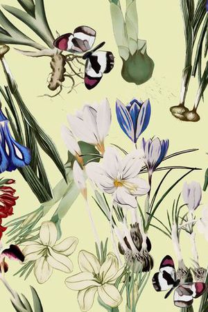 GUCCI 2015印花花型图片