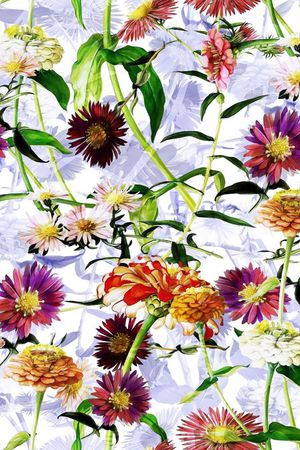 花卉印花花型图片