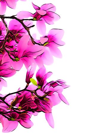 中国风印花花型图片