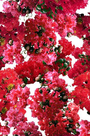花卉印花花型图片