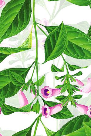 手绘插画印花花型图片