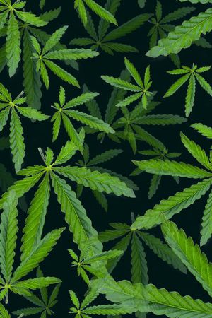欧美时尚印花花型图片