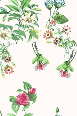 花枝印花花型图片