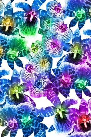 虎纹 梦幻印花花型图片