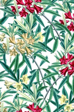 手绘印花花型图片