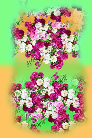 花卉印花花型图片