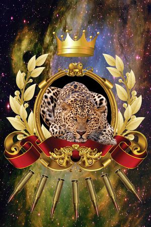 星宿印花花型图片