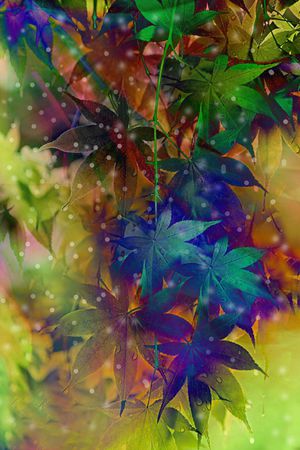时尚 流行 新潮印花花型图片