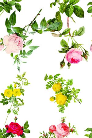 无袖玫瑰连衣裙印花花型图片