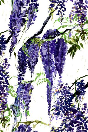 D&G 2015印花花型图片