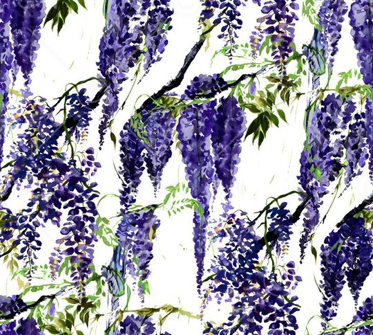 D&G 2015印花花型图片