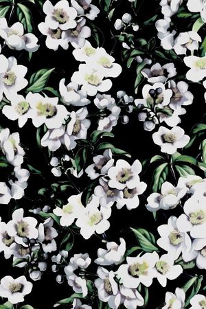 D&G 2015印花花型图片
