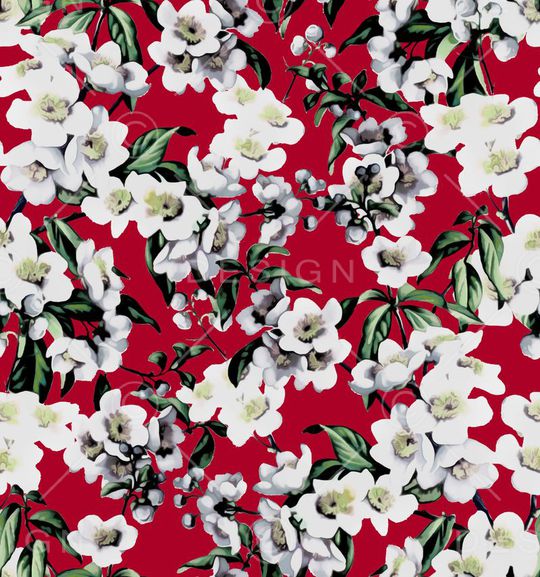 D&G 2015印花花型图片